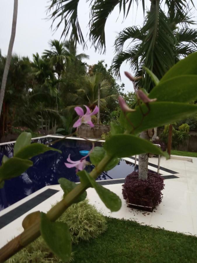 Colibri Villa Maggona Exterior foto